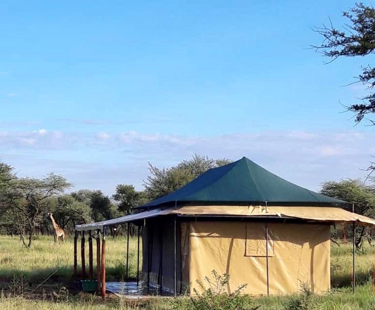 safari camps in tanzania